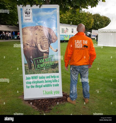 endangered animal charities|World Wildlife Foundation.